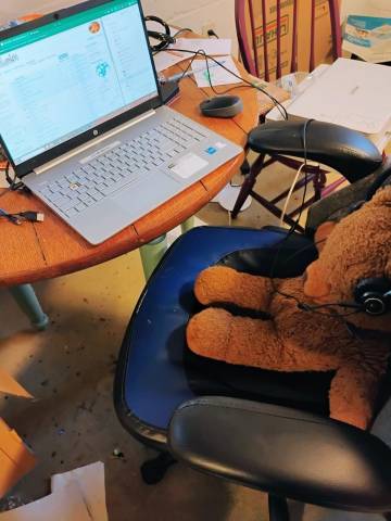 TedTed.jpg